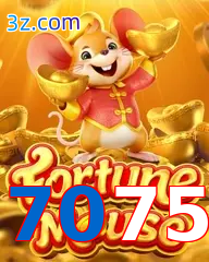7075